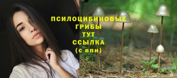 прущая мука Заволжье