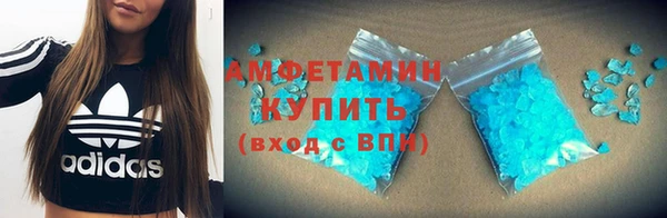 прущие грибы Заволжск