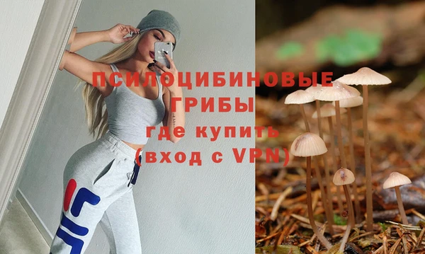 прущие грибы Заволжск