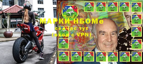 прущие грибы Заволжск