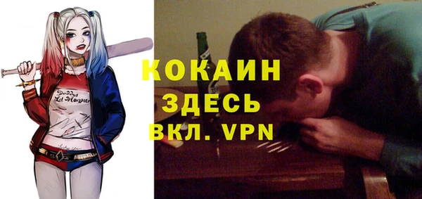 прущие грибы Заволжск