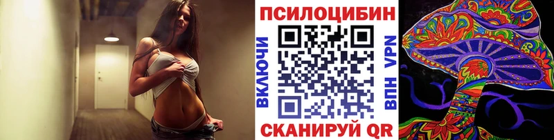 Купить  Ишим  Галлюциногенные грибы Psilocybe 